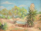 KNIGHT Normah Louise Alcott Oasis KNIGHT Normah Louise Alcott Oasis