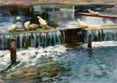 KOESTER Alexander Max Wehr Mit Enten KOESTER Alexander Max Wehr Mit Enten