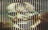 KOLAR Jiri Untitled, From The Baudelaire Series KOLAR Jiri Untitled, From The Baudelaire Series
