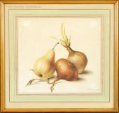 KONING Elisabeth Joanna Nature Morte Aux Oignons Et Aux Poires KONING Elisabeth Joanna Nature Morte Aux Oignons Et Aux Poires