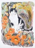KOSTER David Cat KOSTER David Cat