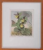KOSTER David Lady Slippers KOSTER David Lady Slippers