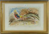 KOSTER David Pheasant KOSTER David Pheasant