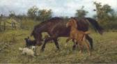 KOVALIEVSKI Pavel Frolicking In The Meadow KOVALIEVSKI Pavel Frolicking In The Meadow