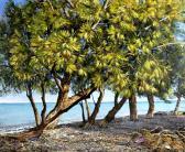 ktistopoulou maria Summer Shade ktistopoulou maria Summer Shade
