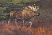 KUHN Bob Moose KUHN Bob Moose