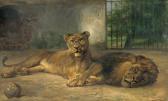 KUHNERT Wilhelm In Der Menagerie (ruhendes Zirkuslöwenpaar) KUHNERT Wilhelm In Der Menagerie (ruhendes Zirkuslöwenpaar)