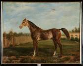 LA TOUR de Georges Portrait D’’un Cheval LA TOUR de Georges Portrait D’’un Cheval