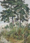 LAMBERT Raymond Les Pins LAMBERT Raymond Les Pins