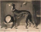 LANDSEER Thomas Levriero In Interno LANDSEER Thomas Levriero In Interno