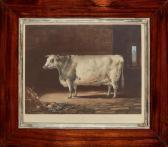 LANDSEER Thomas Portrait Of The Celebrated Short Horned Cow, Bracelet LANDSEER Thomas Portrait Of The Celebrated Short Horned Cow, Bracelet