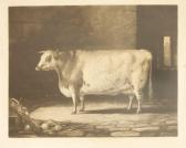 LANDSEER Thomas The Celebrated Short-horned Cow Bracelet LANDSEER Thomas The Celebrated Short-horned Cow Bracelet