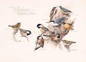 LANSDOWNE James Fenwick Canadian Chickadees, Nuthatches And Others LANSDOWNE James Fenwick Canadian Chickadees, Nuthatches And Others