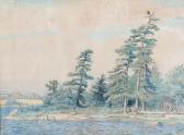 LARSEN Johannes Ørnetræet. Ved Lake Umbagog, New Hampshire LARSEN Johannes Ørnetræet. Ved Lake Umbagog, New Hampshire