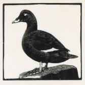 LARSEN Johannes Velvet Scoter And Mallard LARSEN Johannes Velvet Scoter And Mallard