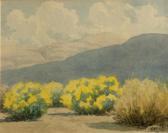 LATIMER Lorenzo Palmer Flowering Creosote LATIMER Lorenzo Palmer Flowering Creosote