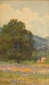 LATIMER Lorenzo Palmer Oak Tree, Mountains, Lupine And Poppies, Ukiah, 1918 LATIMER Lorenzo Palmer Oak Tree, Mountains, Lupine And Poppies, Ukiah, 1918