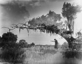 LAUGHLIN Clarence John Elegy For Moss Land LAUGHLIN Clarence John Elegy For Moss Land