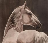 LENNON Paddy Study Of A Horse LENNON Paddy Study Of A Horse