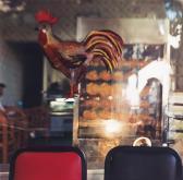 LEONARD Zoe Mister Chicken LEONARD Zoe Mister Chicken