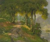 LEU Oskar Lichtdurchfluteter Waldweg An Einem See LEU Oskar Lichtdurchfluteter Waldweg An Einem See