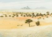 LEWINGTON Bert Spitzkoppe, Namibia, With Gemsbok LEWINGTON Bert Spitzkoppe, Namibia, With Gemsbok