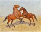 LEWIS J. Combat D’’’’étalons Arabes LEWIS J. Combat D’’’’étalons Arabes