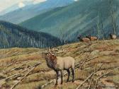LINDSTROM Matt Untitled - Elk Calling LINDSTROM Matt Untitled - Elk Calling