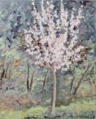 LINHART S. Cherry Blossom LINHART S. Cherry Blossom