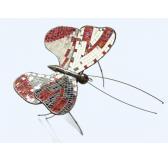 LITI Aphrodite Butterfly LITI Aphrodite Butterfly