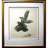LOATES Glen Ravens LOATES Glen Ravens