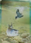 LOATES Glen MARTIN Rainbow Trout And Kingfisher LOATES Glen MARTIN Rainbow Trout And Kingfisher