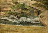 LOOS Friedrich Der Draunfall LOOS Friedrich Der Draunfall