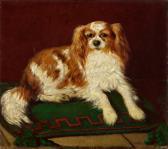 LOOSCHEN Hermann King-charles-spaniel LOOSCHEN Hermann King-charles-spaniel