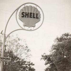 shell luigi