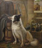 LYTZEN Niels Agaard Chiens Et Chats LYTZEN Niels Agaard Chiens Et Chats