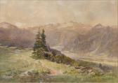 MÜHLBACHER Ferdinand Hütteneck-alm MÜHLBACHER Ferdinand Hütteneck-alm