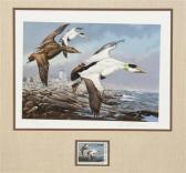 MAASS David A. Duck Print Stamp MAASS David A. Duck Print Stamp