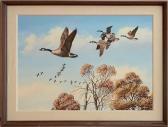 MAASS David A. Untitled MAASS David A. Untitled