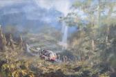 MACDONALD R.J. A Scouthelicopter In The Jungles Of Borneo MACDONALD R.J. A Scouthelicopter In The Jungles Of Borneo