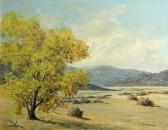 MacGURRIN Buckley A Blooming Palo Verde Tree MacGURRIN Buckley A Blooming Palo Verde Tree
