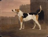 MACKENZIE William Murray A Foxhound Outside A Kennel MACKENZIE William Murray A Foxhound Outside A Kennel