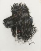 MACKIE Stella Head Studies Of The Black Miniature Poodles Mayqueen Of Mannerhead And Martha Of Mannerhead MACKIE Stella Head Studies Of The Black Miniature Poodles Mayqueen Of Mannerhead And Martha Of Mannerhead