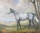 MACLEOD Juliet Portrait Of The Racehorse Consequential In A Landscape MACLEOD Juliet Portrait Of The Racehorse Consequential In A Landscape