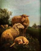MAES Jan Baptist Lodewijk Schafe In Landschaft MAES Jan Baptist Lodewijk Schafe In Landschaft