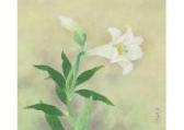 MAGESHI Mitsuo Lily MAGESHI Mitsuo Lily