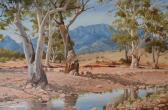 MAGILTON WALTER Flinders Range Pastoral MAGILTON WALTER Flinders Range Pastoral