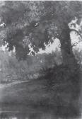 MAGNI Sirio Terrabuio Paesaggio MAGNI Sirio Terrabuio Paesaggio