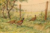 MAISSEN Fernand Faisan Et Poules Faisanes. MAISSEN Fernand Faisan Et Poules Faisanes.