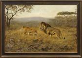 MAJEWICZ George Ziehende Löwen. Massaisteppe MAJEWICZ George Ziehende Löwen. Massaisteppe